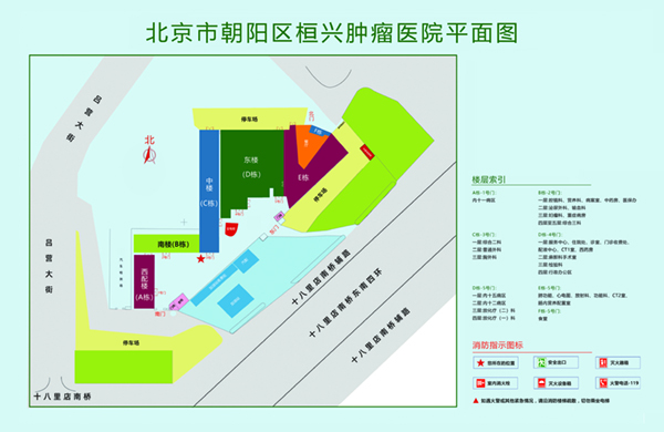 男抽插到女逼太禁的网站北京市朝阳区桓兴肿瘤医院平面图